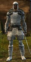 Mercenary human male heavy 6.jpg