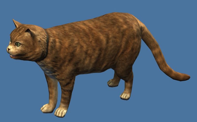 File:Mini Orange Tabby Cat.jpg