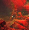 Thumbnail for version as of 01:05, 1 November 2025
