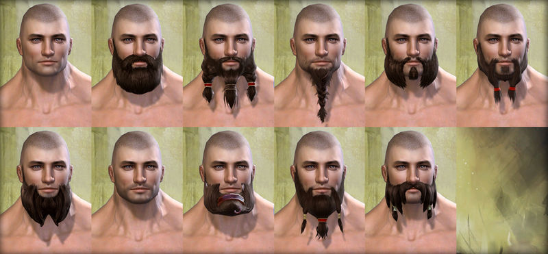 File:Norn male facial hair.jpg