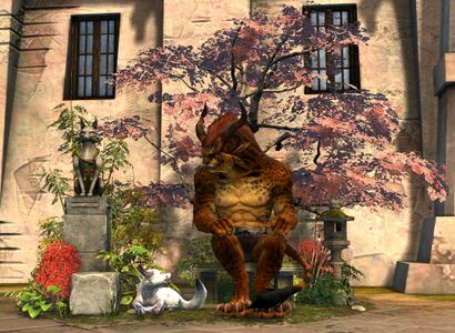 Peaceful Shrine Chair charr male.jpg