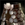 Splint Legs.png