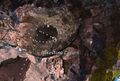 Thumbnail for version as of 14:45, 23 May 2024