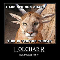lolcharr
