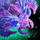 Vital Geode Wavehawk Skimmer.png
