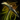 Alchemist's Mining Pick.png