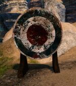 rotation is different for target