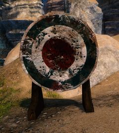 Bonus Target.jpg
