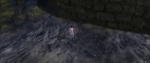 Chak Trail 8.gif