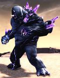 Champion Branded Ogre.jpg
