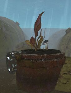 Drain Inlet.jpg