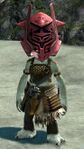 Freebooter asura female.jpg