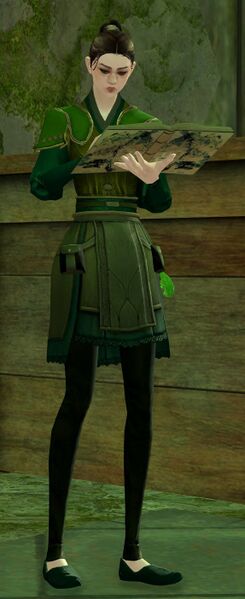 File:Kestrel Customs Manager (alt).jpg