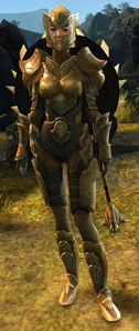 Lionguard Guide (Directions).jpg