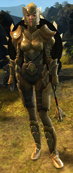 File:Lionguard Guide (Directions).jpg