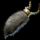Lucky Rabbit's Foot.png