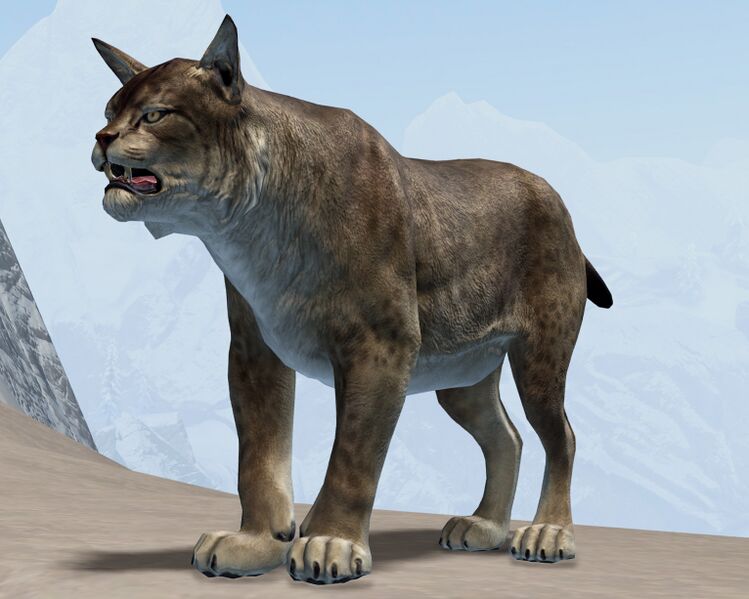 File:Lynx.jpg