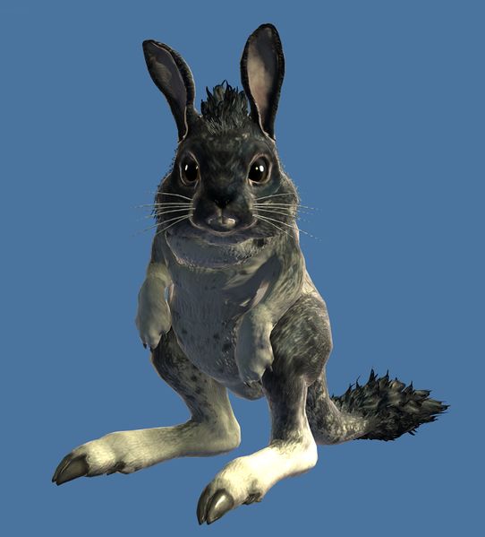 File:Mini Springer Ramona.jpg