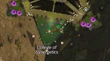 Pixx's Insight map.jpg