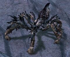 Pummel Spider.jpg