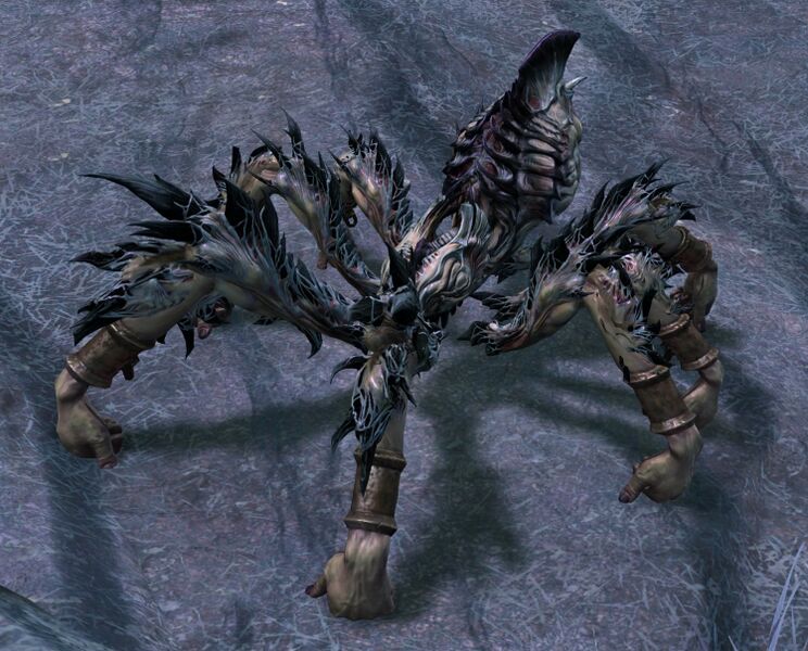 File:Pummel Spider.jpg