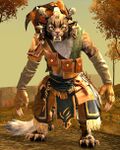 Rally Provisioner female.jpg