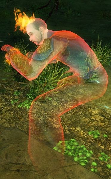 File:Randall Greyston (Bloodstone Shard).jpg