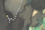 Rock Collector (Firestone 56 map).jpg