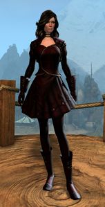 Appearance on light armor.