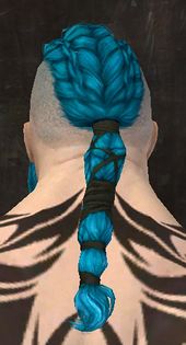 Unique norn male hair back 16.jpg