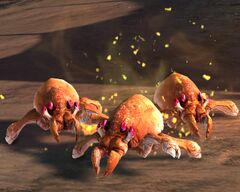 Crazed Karka Hatchling.jpg