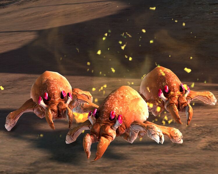 File:Crazed Karka Hatchling.jpg