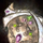 Embellished Focus.png