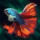Flamefin Betta.png