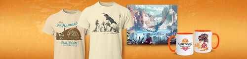 Guild Wars 2 Merch Store.jpg