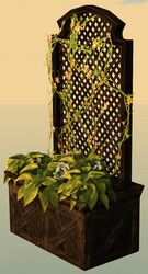 Lattice Planter with Blue Petunias.jpg