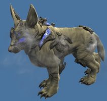 Mini Blue Jackal Pup.jpg