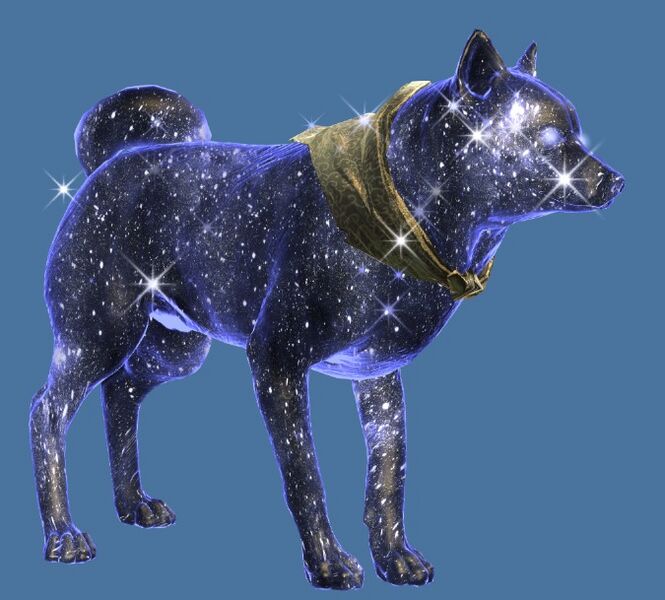 File:Mini Starry Shiba Inu.jpg