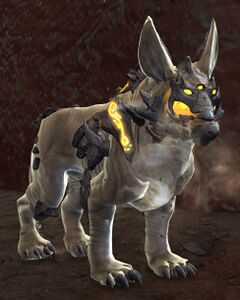Sand Pup.jpg