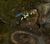 Tangled Depths Hidden Chest 15.jpg