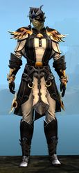 Triumphant armor (light) sylvari male front.jpg