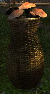 Cave Mushroom Basket.jpg