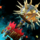 Celestial's Firework Mace.png