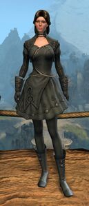 Appearance on light armor.