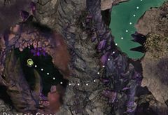 Dragonfall Insight - Dragon's Snare path.jpg