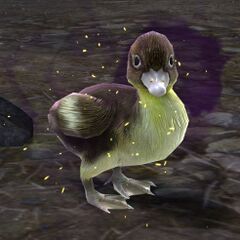 Duck (Sickly).jpg
