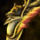 Eir's Legacy Longbow.png