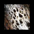 Thumbnail for version as of 16:11, 12 June 2013