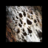 Fire Gravel.png