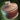 Itzel Spirit Poison.png